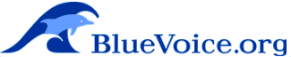 Blue Voice